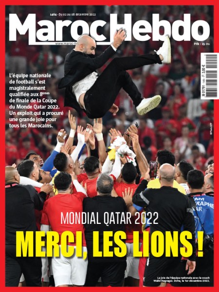 Mondial Qatar 2022 : Merci, les lions !